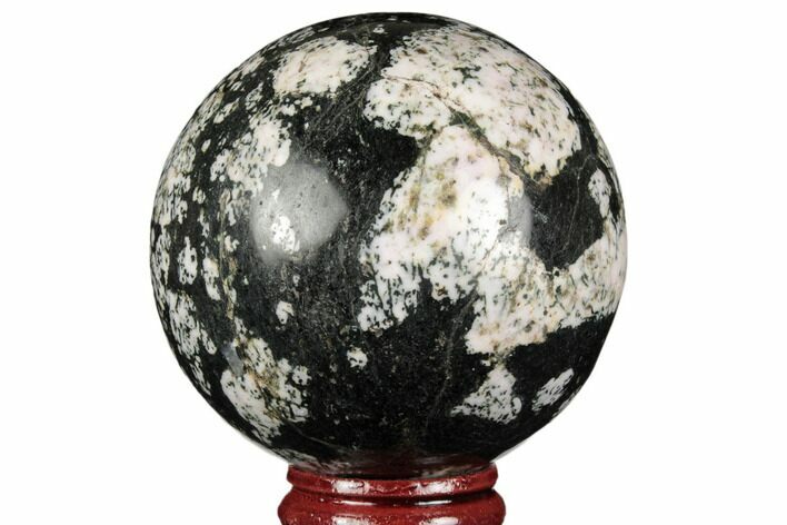 Polished Snowflake Stone Sphere - Pakistan #187522
